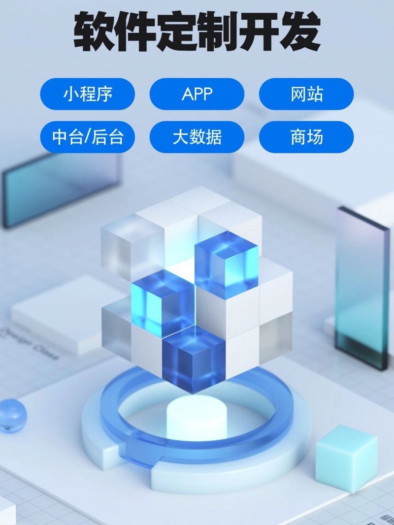 软件开发中的经典案例：如何从零开始打造企业竞争力
